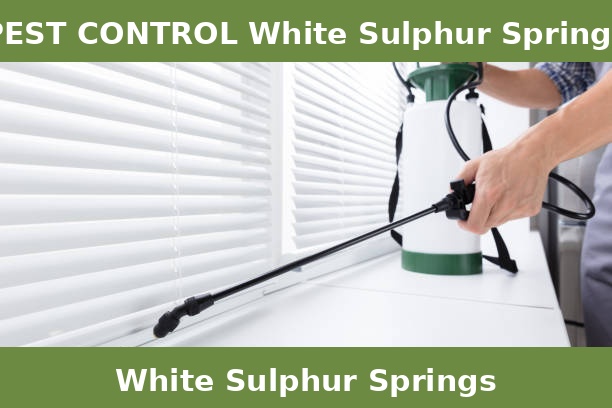 PEST CONTROL White Sulphur Springs